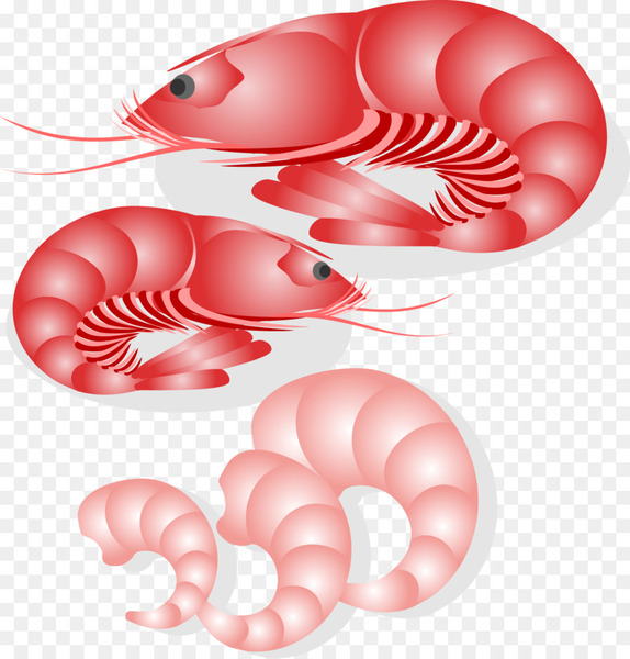 Seafood Japanese Cuisine Fish - Japanese seafood vector download