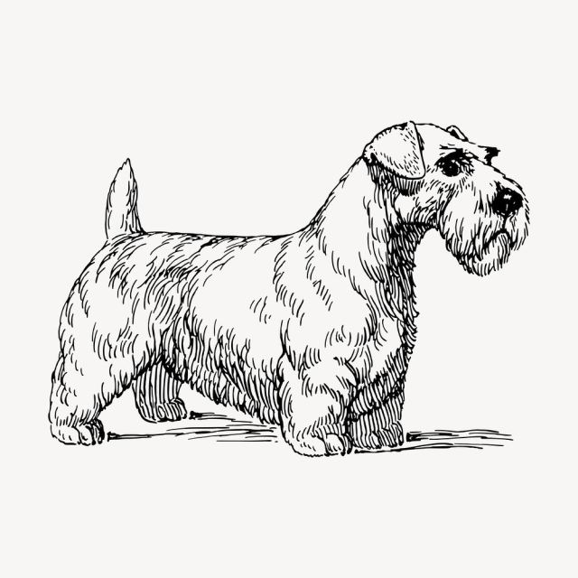 Sealyham dog clipart, vintage animal | Free Vector - rawpixel