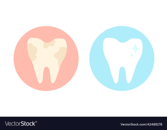 set icon tooth of teeth stomatology