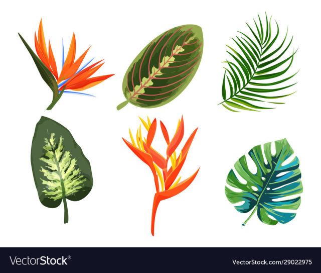set tropical plants exotic flowers and leaves