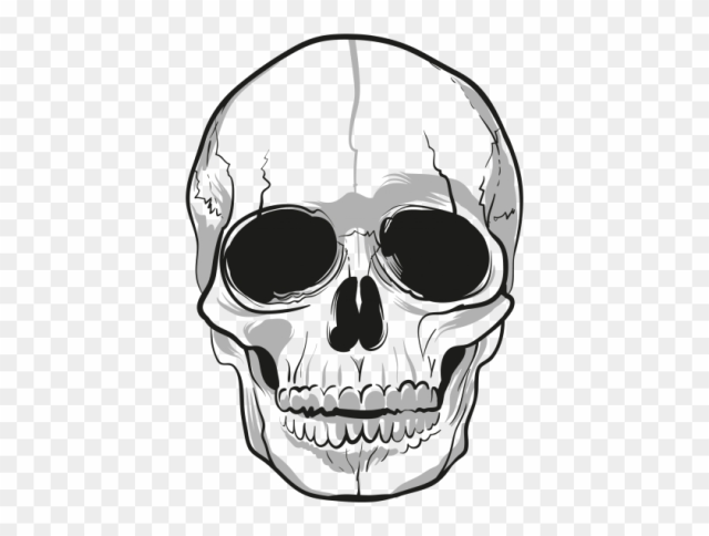 Skeleton Head Hd Image Png Images - Png Transparent Skull Png