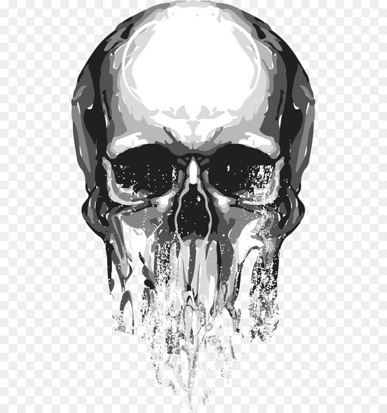 Skull Euclidean vector - Skull 