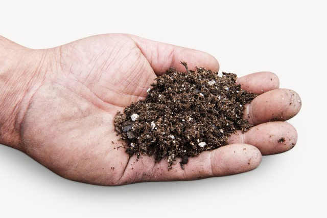 Soil on hand, environment image | Free PSD - rawpixel