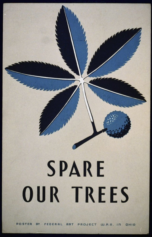 Spare our trees | Free Photo - rawpixel