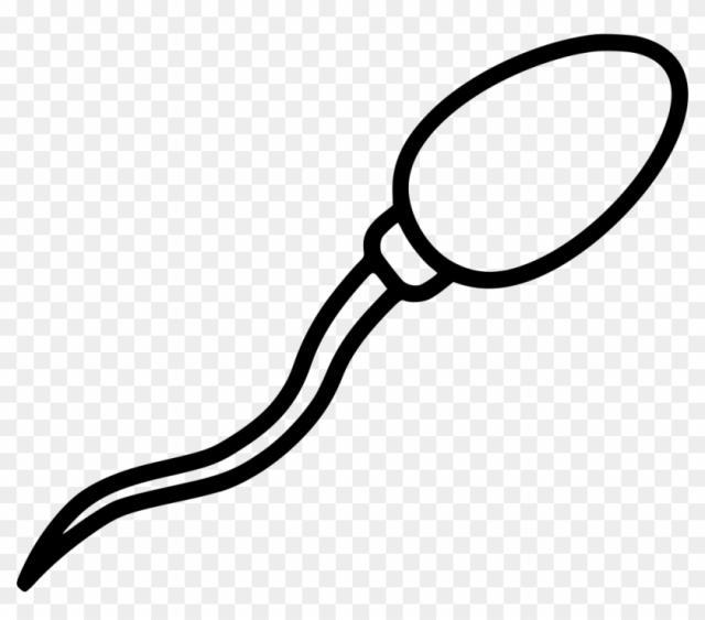 Sperm Comments - Sperm Png