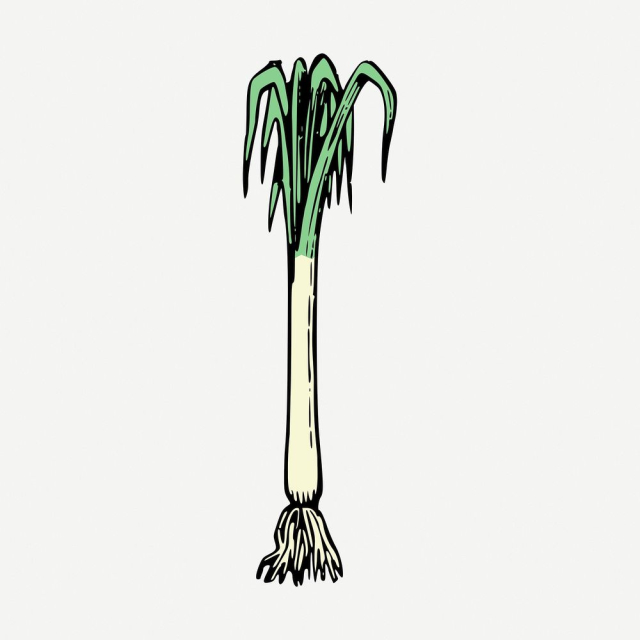 Spring onion collage element, vintage | Free PSD - rawpixel