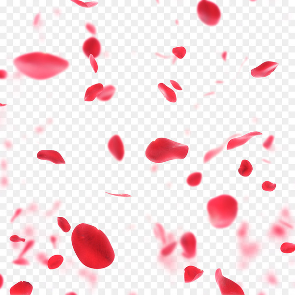 Stock photography Rose Anniversary Valentines Day Royalty-free - Rose petals drift