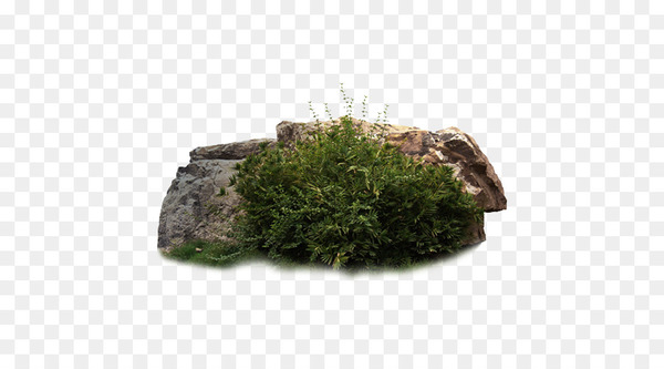 Stone Forest Rock Download - Rock grass group
