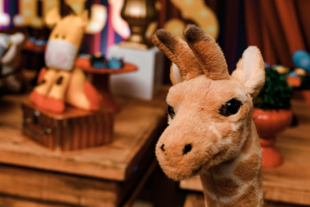 Stuffed Animal