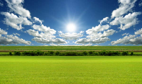 Sunny day with blue sky and green grass