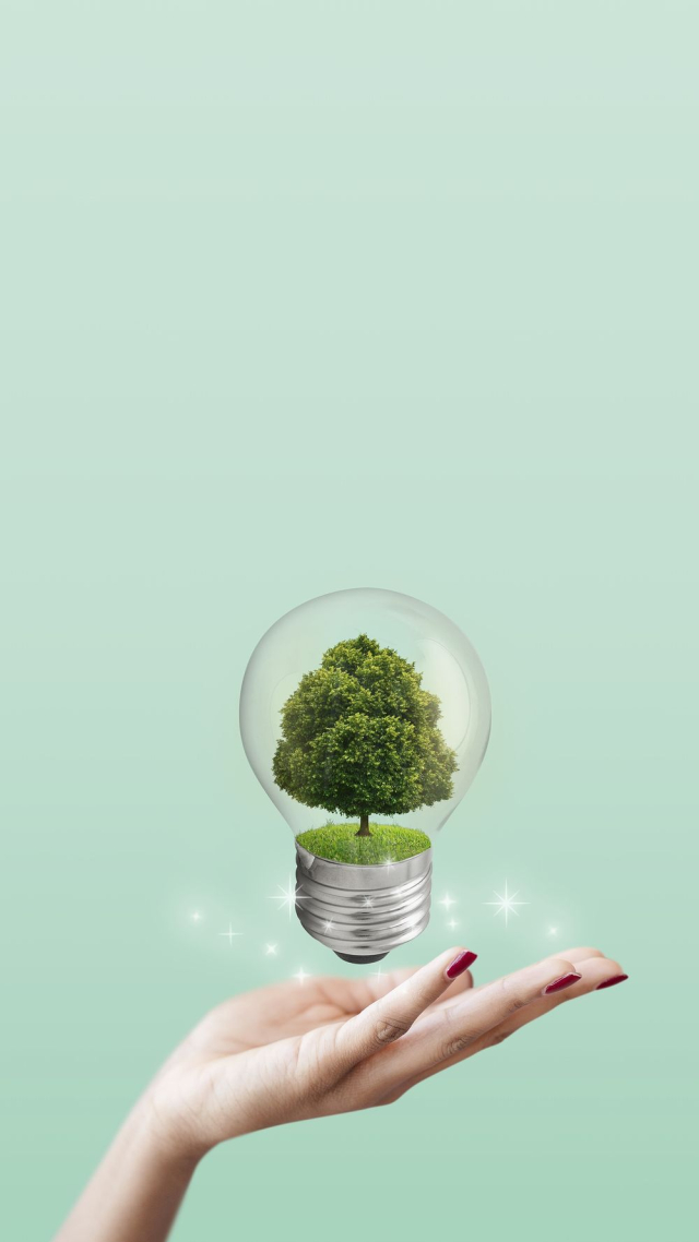 Sustainable mobile wallpaper, green environment | Free Photo - rawpixel