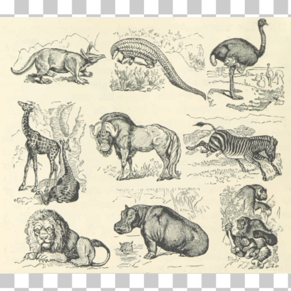 SVG African animals