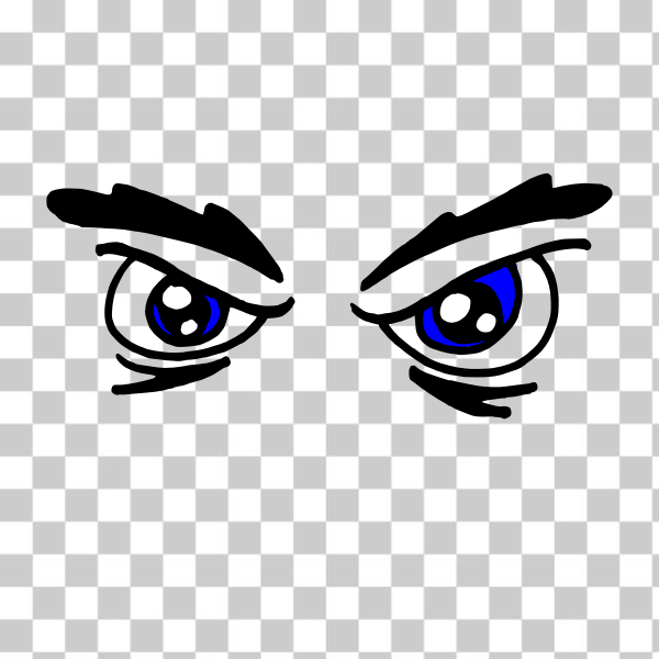 SVG Angry woman039s eyes vector drawing