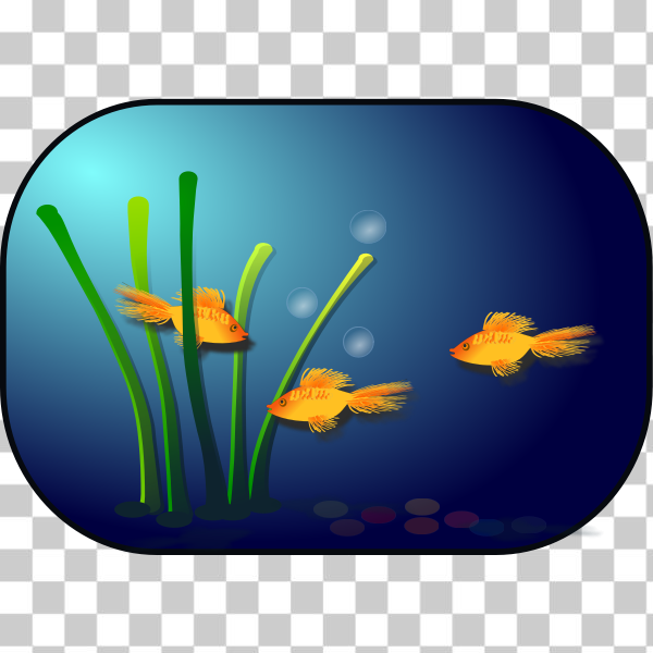 SVG Aquarium vector image