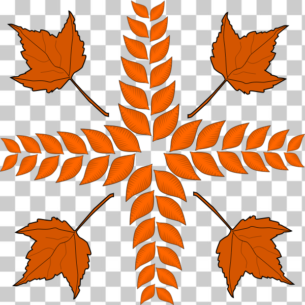 SVG Autumn leaves arrangement vector image