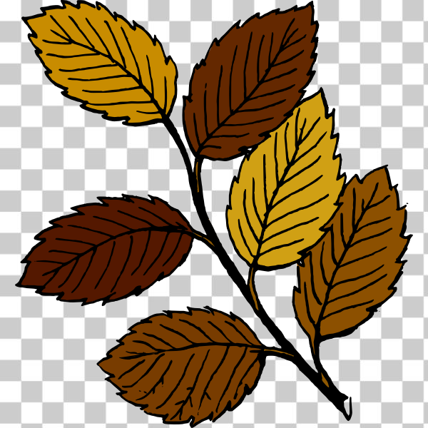 SVG Autumn leaves on branch vector image