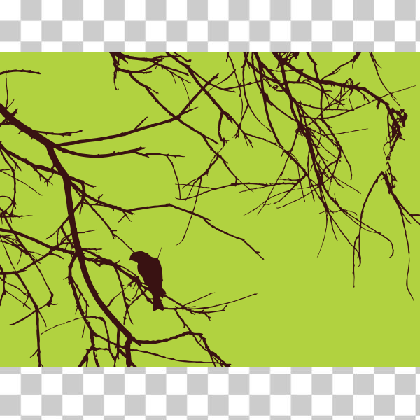 SVG Bird on the branch vector drawing