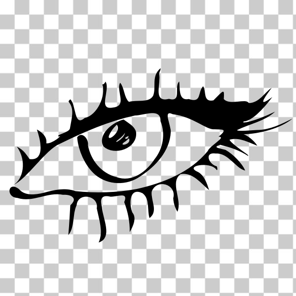 SVG Black and white eye vector image