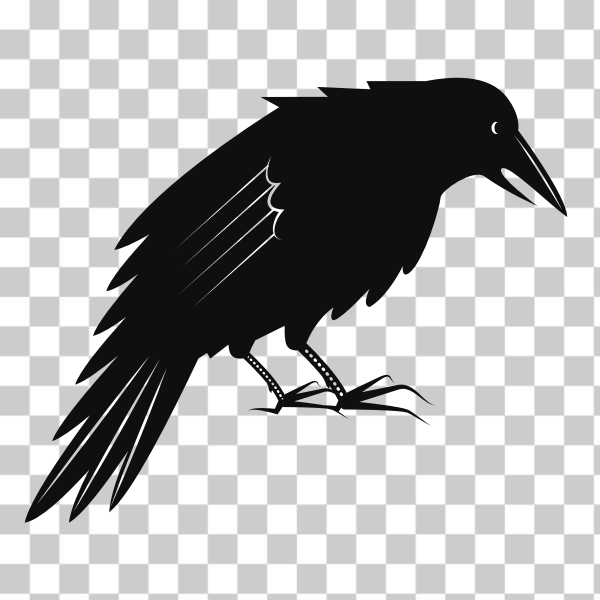 SVG Black crow bird