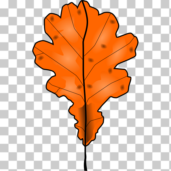 SVG Brown fall leaf vector clip art