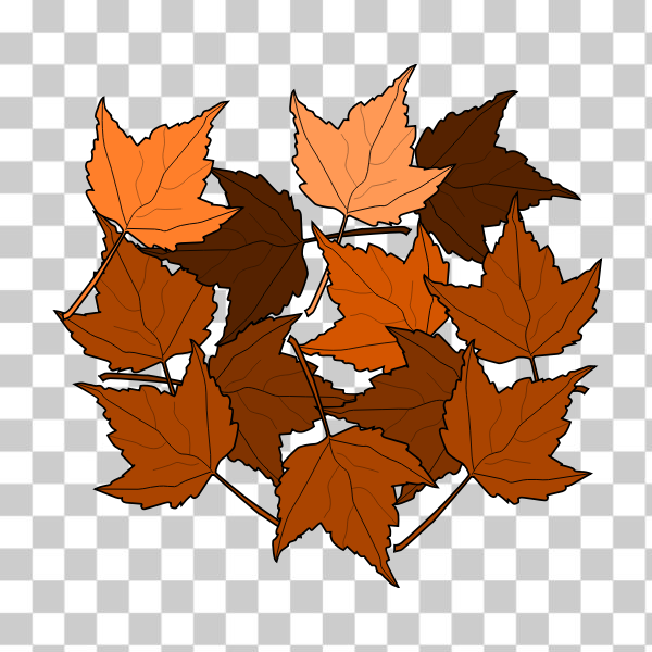 SVG Brown fall leaves vector drawing