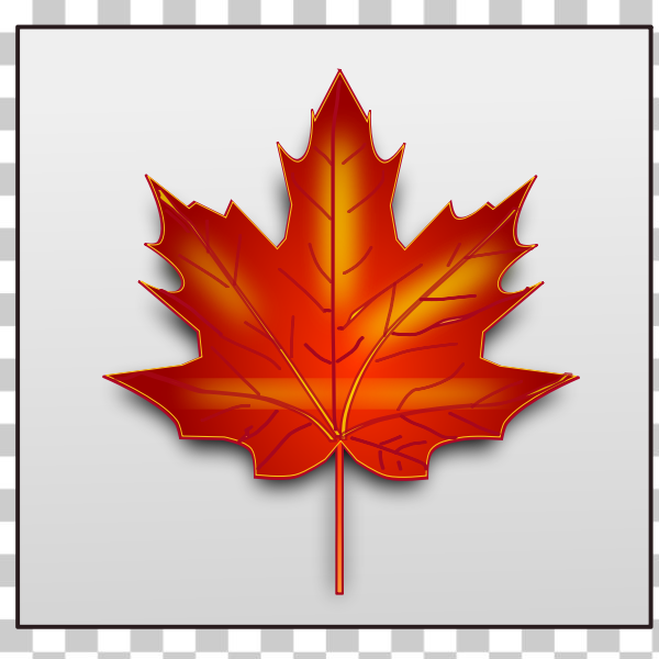 SVG Brown maple leaf vector image