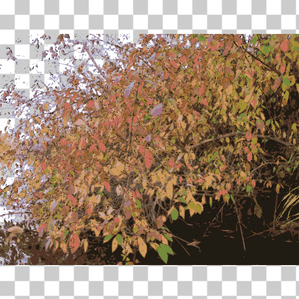 SVG Bush in autumn vector illustration