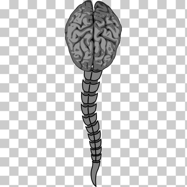 SVG cerebro remix