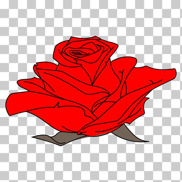 Free: SVG Colored Rose - nohat.cc