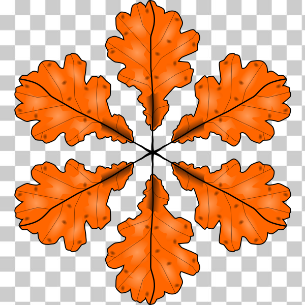 SVG Fall leaf vector illustration
