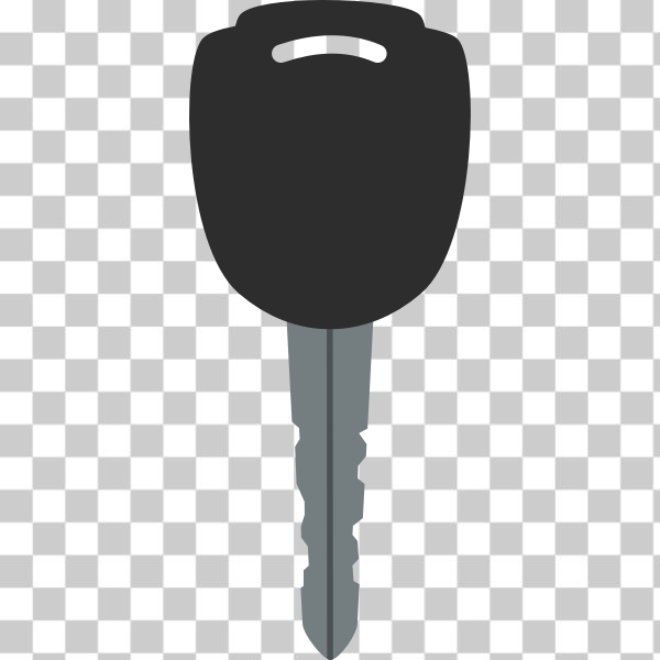 SVG Grayscale vector image of car door key