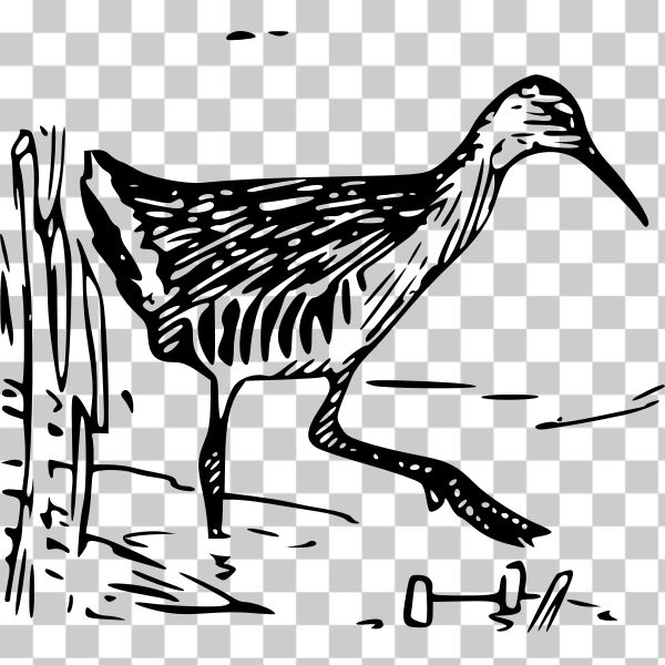 SVG King rail in pond vector clip art
