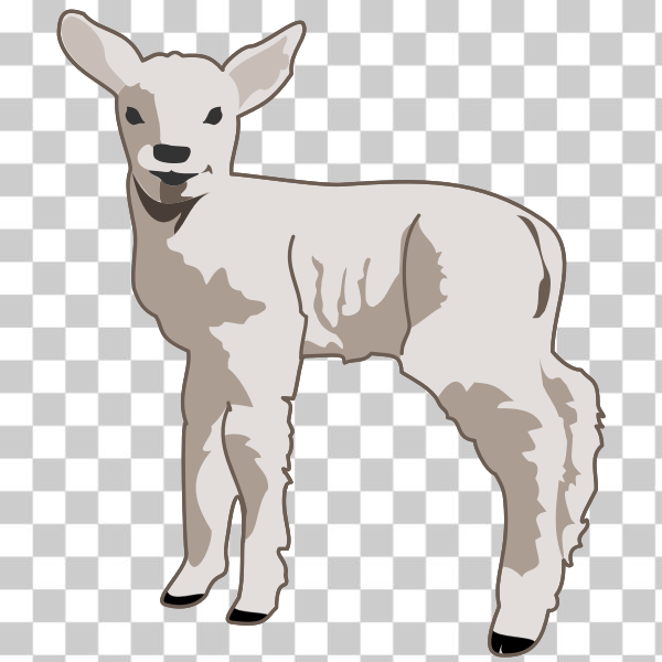 SVG Lamb vector image