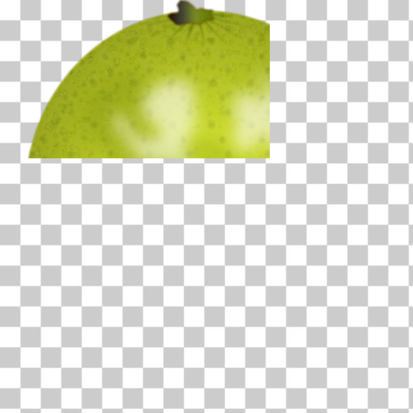 SVG Lime vector image