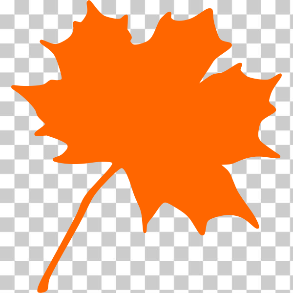 SVG Maple leaf vector image