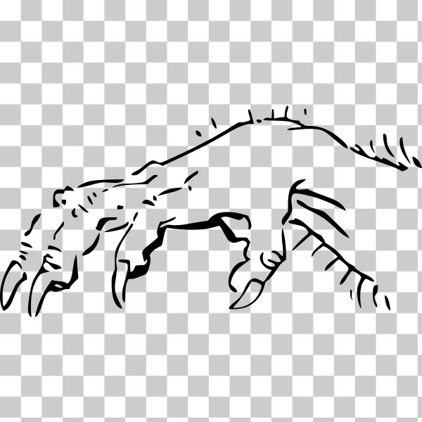 SVG Monster hand vector image