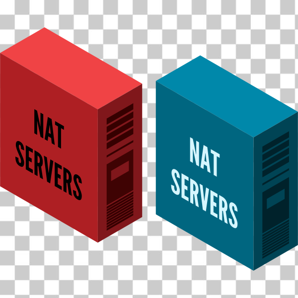 SVG NAT server vector image