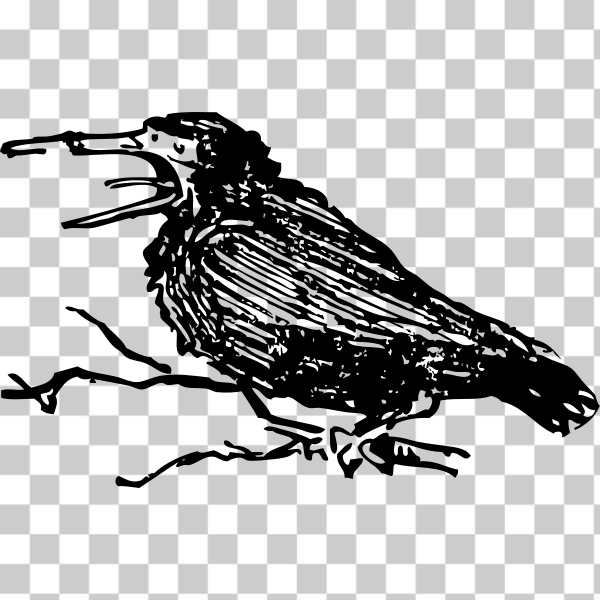 SVG old crow