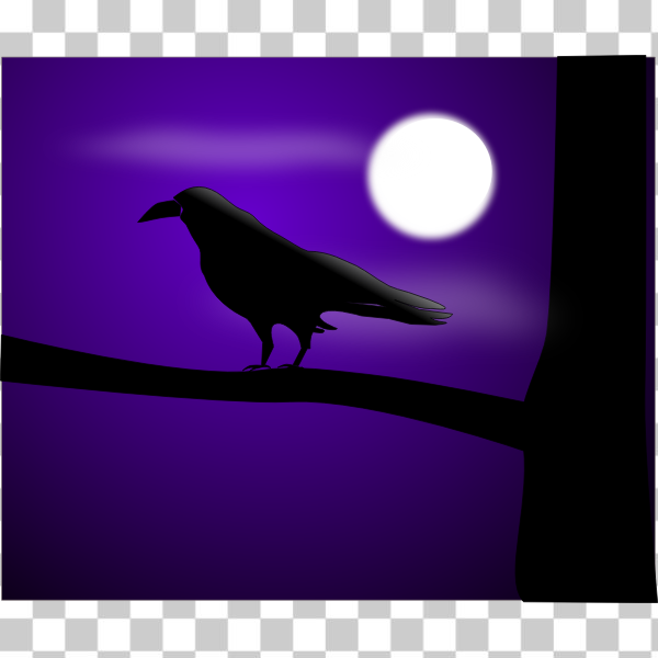 SVG Raven at full moon vector illustration