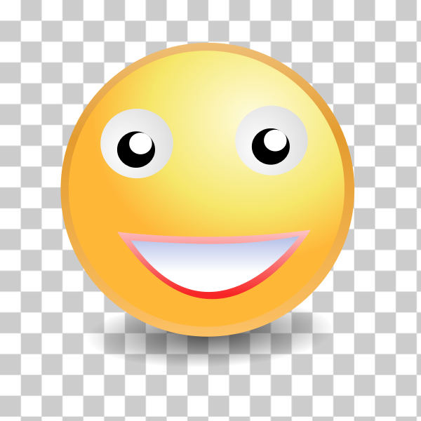 SVG Smiley ladyface vector image