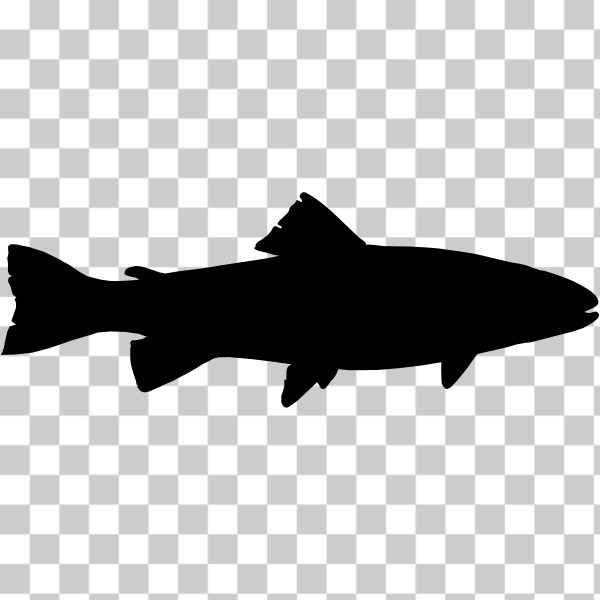 SVG Trout fish silhouette vector image