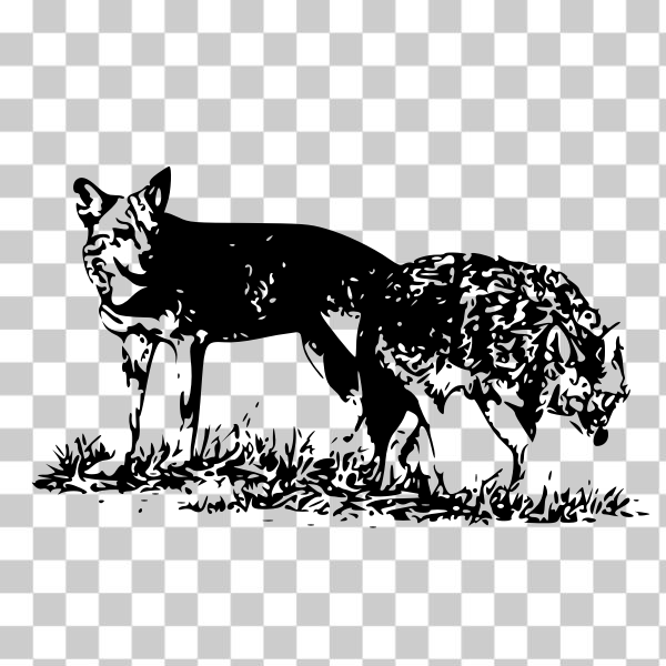 SVG Two wolves vector image