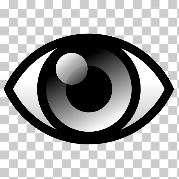 SVG Vector clip art of black eye with reflection