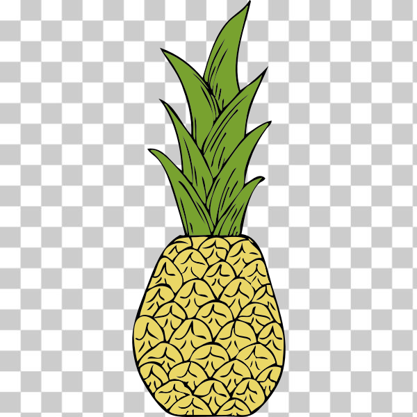 SVG Vector drawing of pineapple