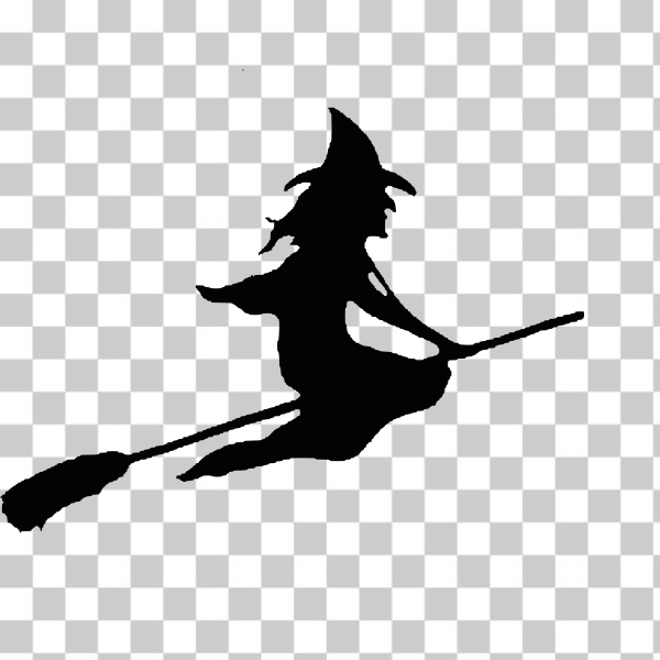 SVG Vector drawing of witch on a broom