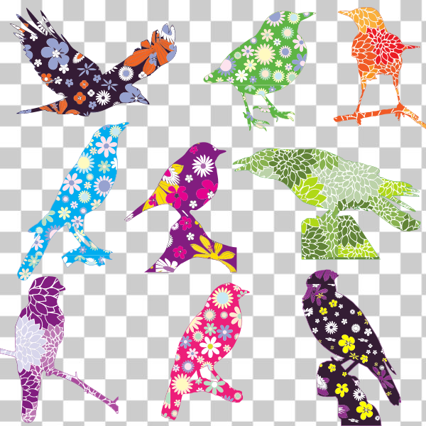 SVG Vector graphics of selection of birds with a floral pattern