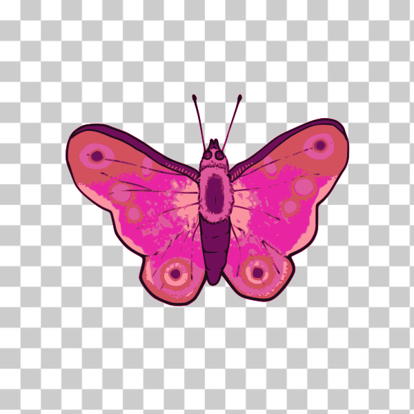SVG Vector illustration of pink and purple butterfly