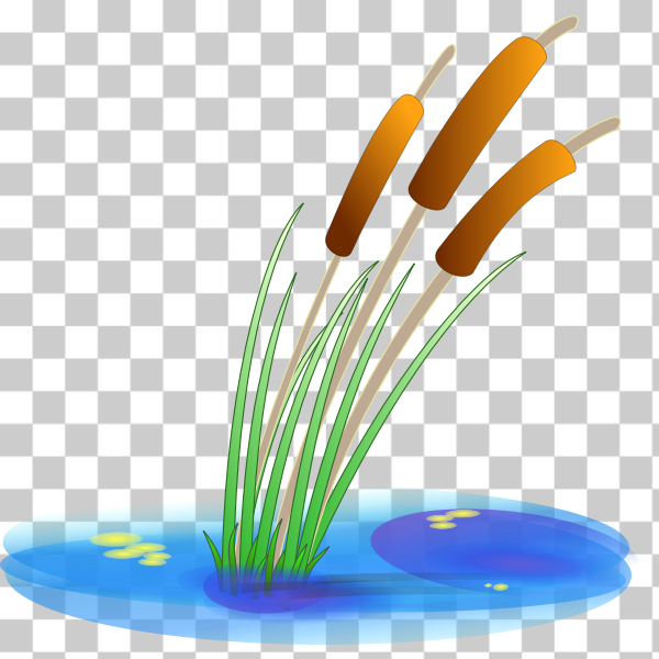 Free: SVG Vector illustration of reed - nohat.cc