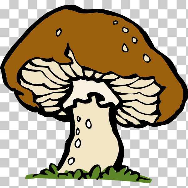 SVG Vector image of a big mushroom