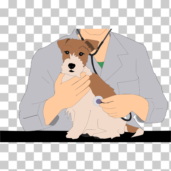 SVG Veterinarian with animal